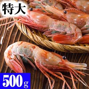 特大子持ち ボタンエビ冷凍　2Lサイズ　500g(7〜9尾入)...