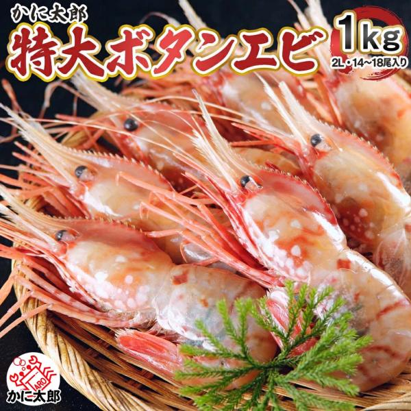特大 子持ち ボタンエビ 冷凍　2Lサイズ　1kg(14〜18尾入)　ぼたんえび 特大サイ ズ 卵入...