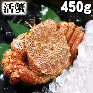 活毛ガニ 北海道産 450ｇ 中型　活毛ガニの美味しさを...