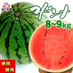 (送料無料)マドンナスイカ 秀品 4Lサイズ 9〜10キロ ...