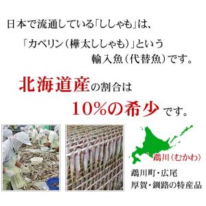北海道産 本ししゃも オス 40尾入り (雄 ...の詳細画像2
