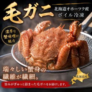 送料無料 海鮮グルメ盛りセット 毛ガニ エビ ...の詳細画像2