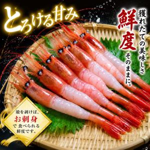 送料無料 海鮮グルメ盛りセット 毛ガニ エビ ...の詳細画像4