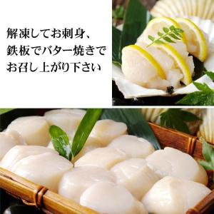 (ホタテ ほたて 帆立) 天然 ホタテ 貝柱 ...の詳細画像1