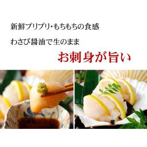 (ホタテ ほたて 帆立) 天然 冷凍 ホタテ ...の詳細画像2