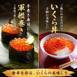 イクラ醤油漬け 500g (化粧箱 無し アメ...の詳細画像3