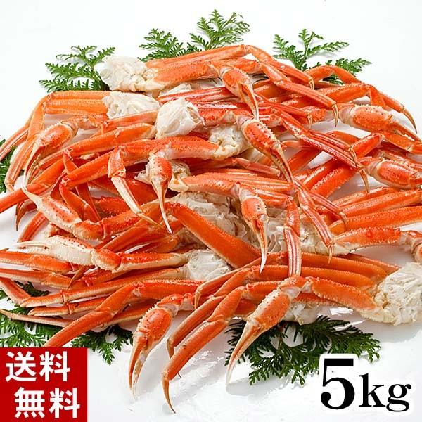 ズワイカニ 肩 5kｇ ボイル冷凍　訳ありのズワイガニ足が食べ放題！ずわい蟹のボイル脚/松葉蟹　足折...