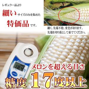 予約商品 送料無料 訳あり 北海道産 白い と...の詳細画像1