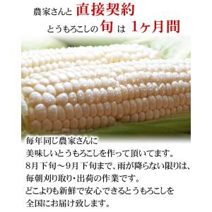 予約商品 送料無料 訳あり 北海道産 白い と...の詳細画像3