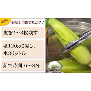 予約商品 送料無料 訳あり 北海道産 白い と...の詳細画像4