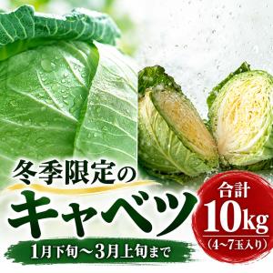 予約商品 送料無料 北海道 冬野菜 和寒町産 ...の詳細画像1