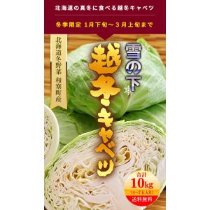 予約商品 送料無料 北海道 冬野菜 和寒町産 ...の詳細画像2
