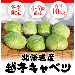 予約商品 送料無料 北海道 冬野菜 和寒町産 ...の詳細画像3