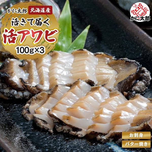 北海道 活蝦夷鮑 3個入りで合計300g前後 えぞアワビ アワビ あわび 鮑 活あわび 活アワビ 活...
