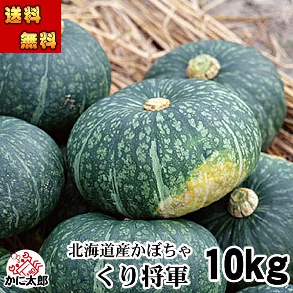 予約商品 送料無料 北海道産 かぼちゃ　栗将軍 10kg（5〜7玉入り）カボチャ 粉質でホクホク 南...