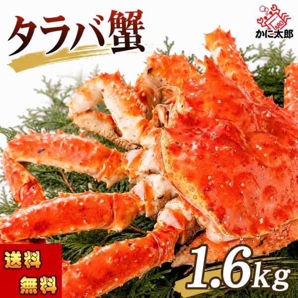 送料無料 タラバガニ　たらばがに 姿　1.6kg前後 小型　1尾 ボイル冷凍(北海道・ロシア原料)　...
