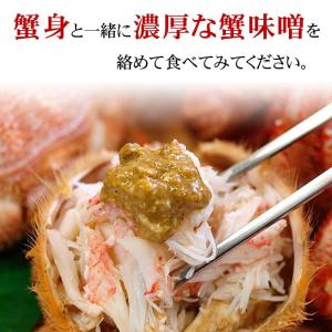 送料無料 北国の恵みセット 毛ガニ エビ ホッ...の詳細画像3