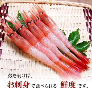 送料無料 北国海の幸セット エビ ホタテ イク...の詳細画像3