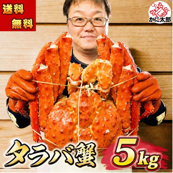 送料無料 タラバガニ　たらばがに 姿　巨大　5.0kg前後　1尾 ボイル冷凍(北海道・ロシア原料)　...
