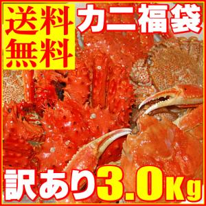 ポイント10倍！かにっくす特製(訳あり)かに福袋3.0Kg（活・未冷凍・送料無料）