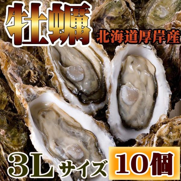 牡蠣 かき 北海道 厚岸 殻付き 3Lサイズ 約10個 生牡蠣 冷蔵 まるえもん ギフト 年末指定不...
