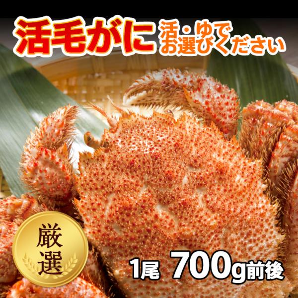 厳選 けがに 活毛ガニ 北海道産 冷蔵 1尾(700g前後)