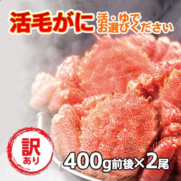毛蟹 けがに 活毛ガニ 北海道産 冷蔵 訳あり  2尾(400g前後×2) だるま フジツボ付着 足...