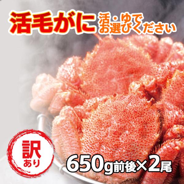 訳あり 活毛ガニ 北海道産 冷蔵 650g前後 2尾セット  活き 未冷凍 活 ギフト 送料無料 毛...