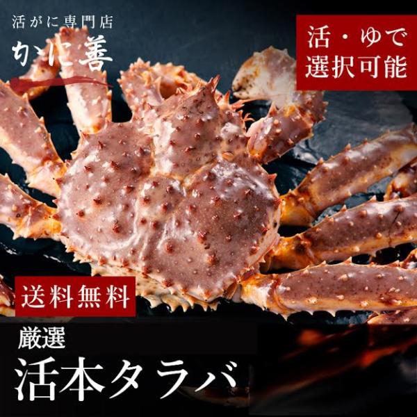 活タラバガニ 1尾 3.5kg 前後 お歳暮 ギフト