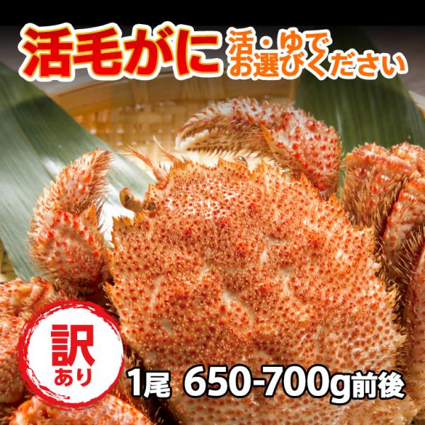 毛蟹 けがに 活毛ガニ 北海道産 冷蔵 訳あり  1尾(650g-700g前後) だるま フジツボ付...