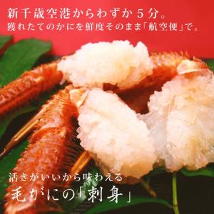 毛蟹 けがに 活毛ガニ 北海道産 冷蔵 訳あり...の詳細画像1