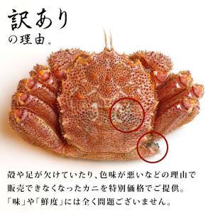 毛蟹 けがに 活毛ガニ 北海道産 冷蔵 訳あり...の詳細画像3