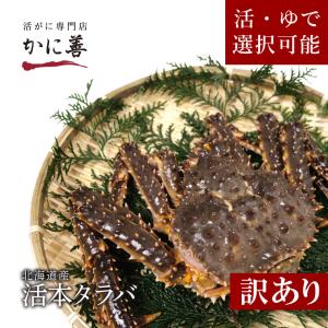 訳あり タラバガニ  カニ 活 1尾 3kg前後 高品質 冷蔵　生食可　未冷凍 年末指定不可