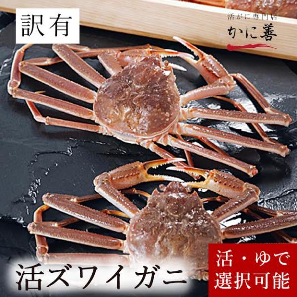 訳あり 活 大ズワイガニ 250g前後 6尾