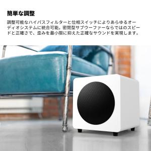 Kanto Audio 8インチ 密閉型パワー...の詳細画像4