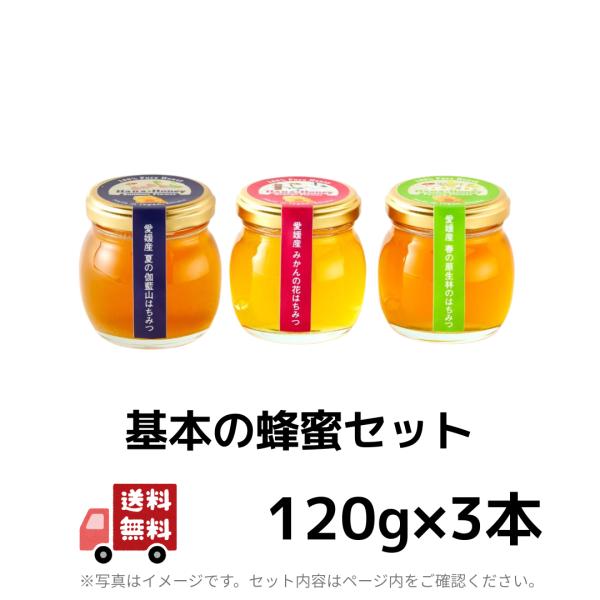 基本の蜂蜜セット120g×3本 （みかんの花・春・夏）