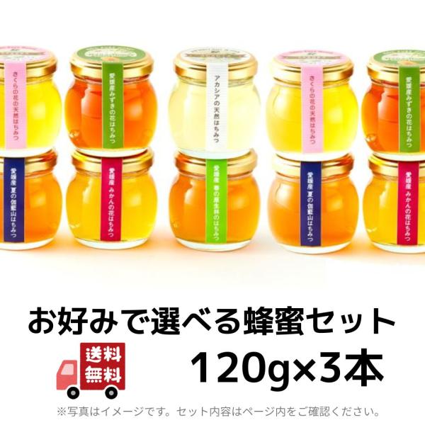 お好みで選べる蜂蜜セット120g×3本