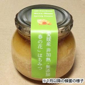 春の原生林はちみつ 330g×3本の詳細画像1