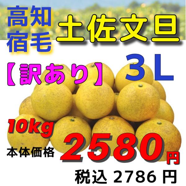 【高知宿毛産】「訳あり」土佐文旦１０ｋｇ３Ｌ