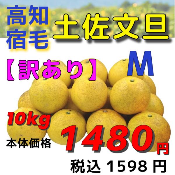 【高知宿毛産】「訳あり」土佐文旦１０ｋｇＭ