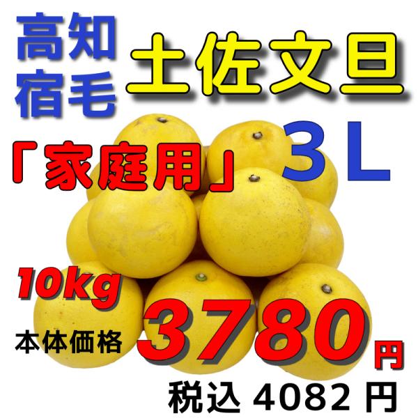 【高知宿毛産】「家庭用」土佐文旦１０ｋｇ３Ｌ