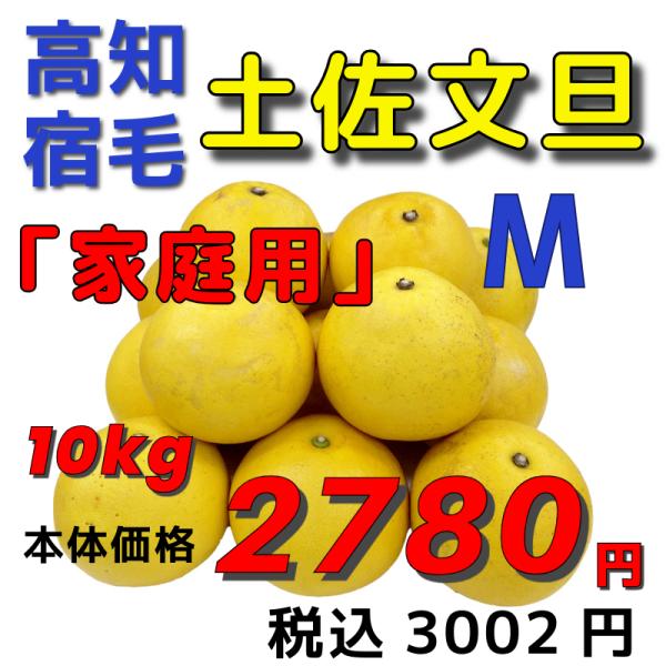 【高知宿毛産】「家庭用」土佐文旦１０ｋｇM