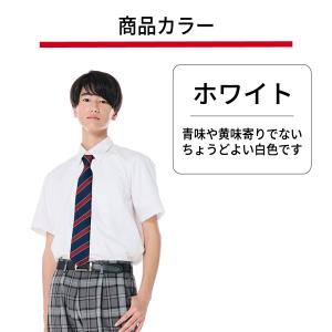 【2枚組】スクールシャツ 男子 半袖 形態安定...の詳細画像3