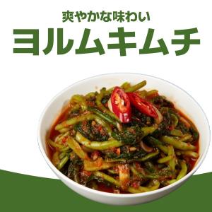 [冷]宗家 ヨルムキムチ 500g 大根の葉 ...の詳細画像4