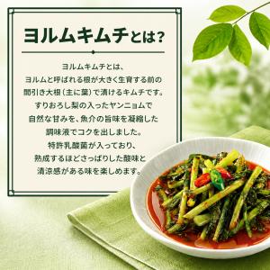 [冷]宗家 ヨルムキムチ 500g 大根の葉 ...の詳細画像1