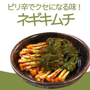 [冷]宗家ネギキムチ 300g/パキムチ 韓国...の詳細画像1