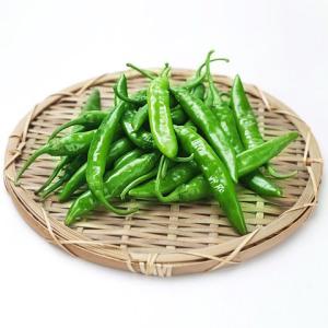 [冷]時価/ 青 唐辛子 300g韓国産 韓国...の詳細画像2