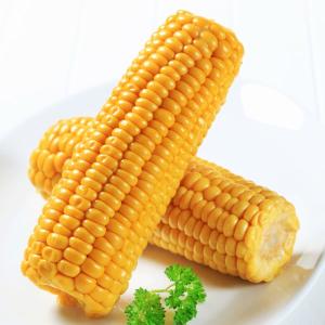 [源清田] 極甘とうもろこし 1本 / スイー...の詳細画像3