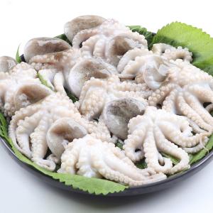 冷凍 イイダコ 1kg チュクミ/下処理済み ...の詳細画像2