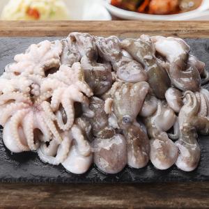 [凍]イイタコ約2kg(約50匹)/韓国食品/韓国市場